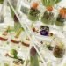 green catering